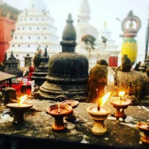 Trauma Informed Yoga teacher training Trauma Informed Yoga teacher training